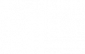 Vanilla Plantations Fiji Pte Ltd_WHITE with TM v1